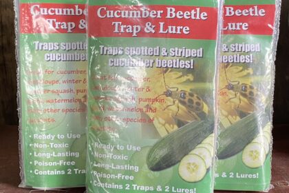 Cucumber Beetle Trap and Lure