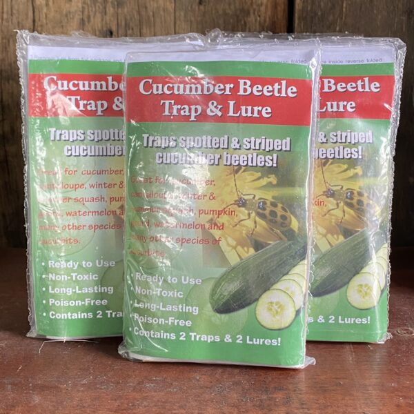 Cucumber Beetle Trap and Lure