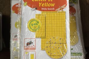 Silvalure Insect Control Yellow Sticky Trap