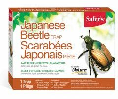 Safer's Japanese Beetle Trap