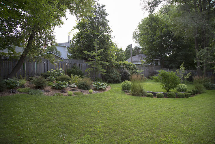 Backyard garden