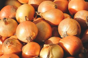 Onion - New York