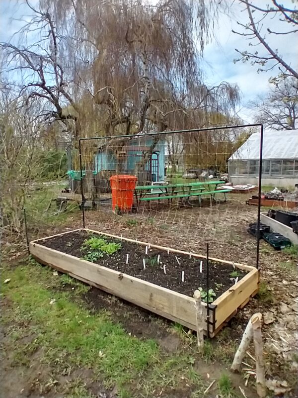 10x3 raised bed vegetable garden on a bottom