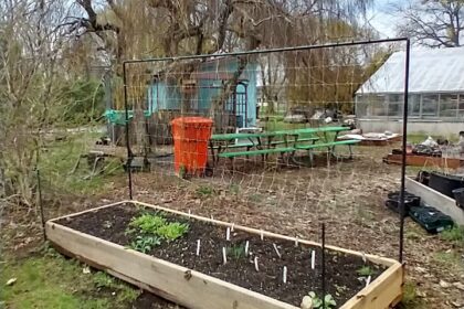 10x3 raised bed vegetable garden on a bottom