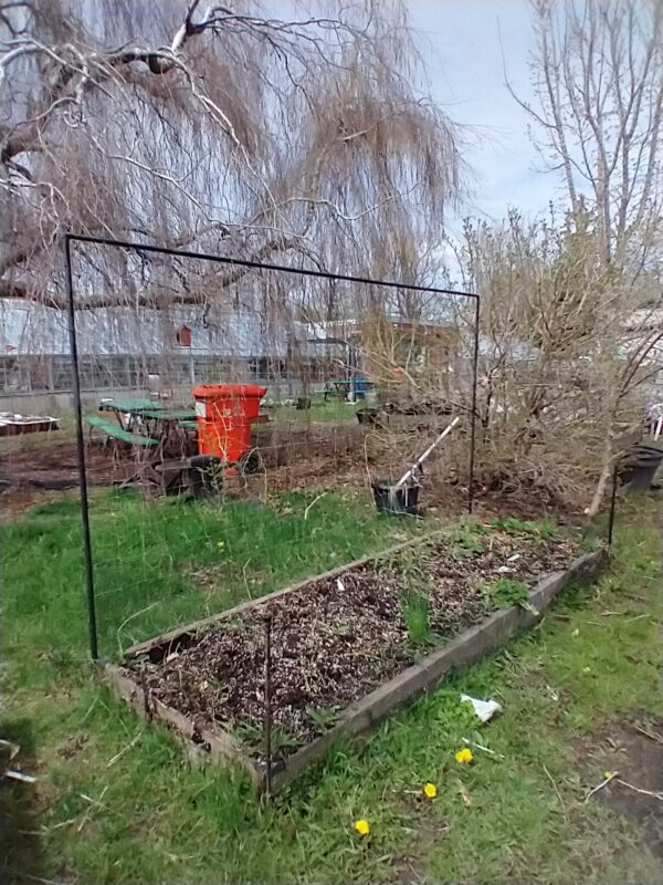 “Essential” raised bed garden construction package.