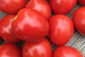 Pile of plum sized ruby soul tomatoes