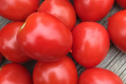 Pile of plum sized ruby soul tomatoes