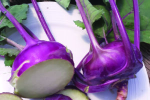 Kohlrabi -Azur Star