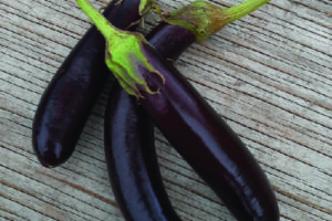 Eggplant - Little Finger