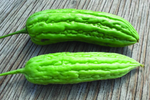 Melon - Bitter Margose