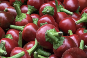 Hot Pepper - Cherry Bomb
