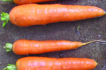 Carrot - Kuroda Chantenay