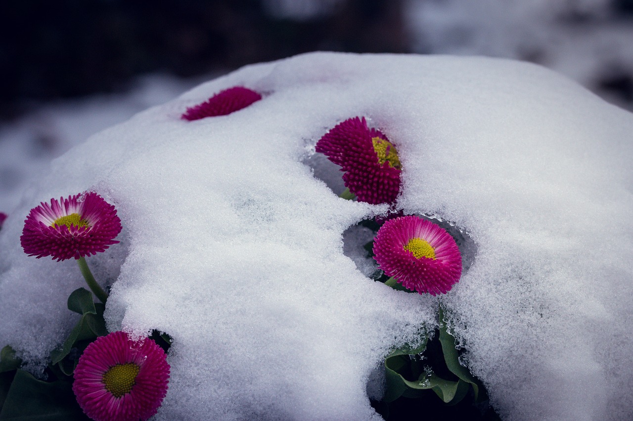 A visit with CBC’s Sabrina Marandola