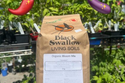 Black Swallow organic Bloom Fertilizer