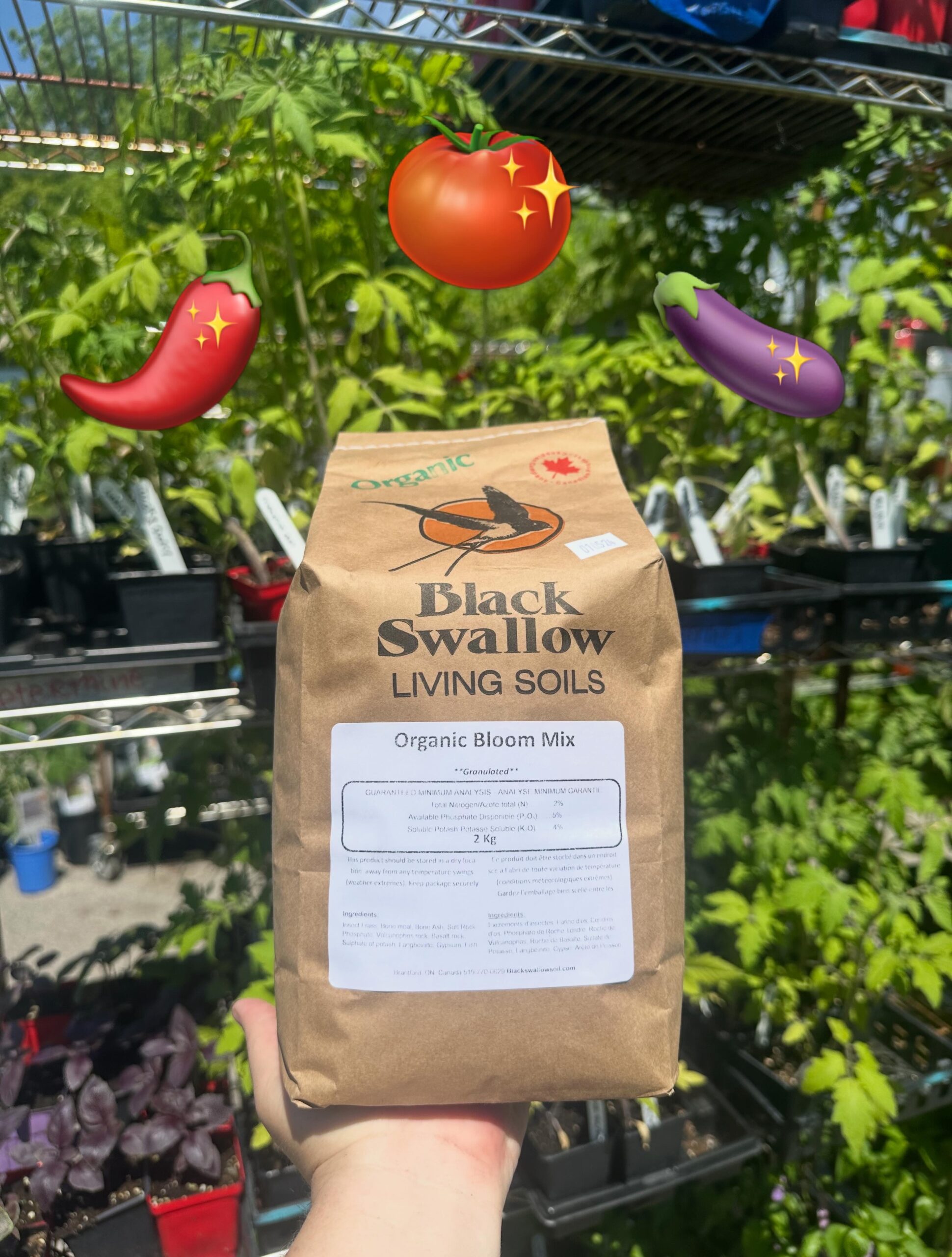 Black Swallow organic Bloom Fertilizer