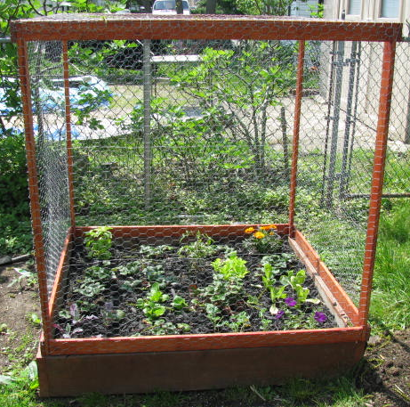 Raised bed garden cage