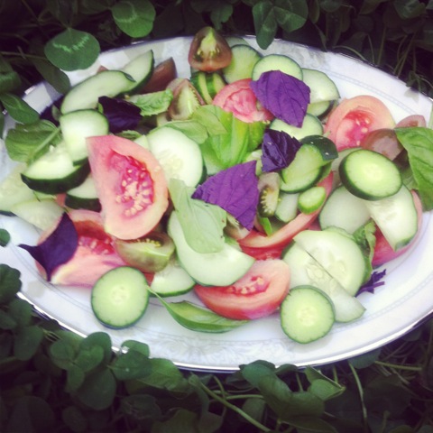 Summer Salad