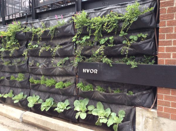 Living Wall