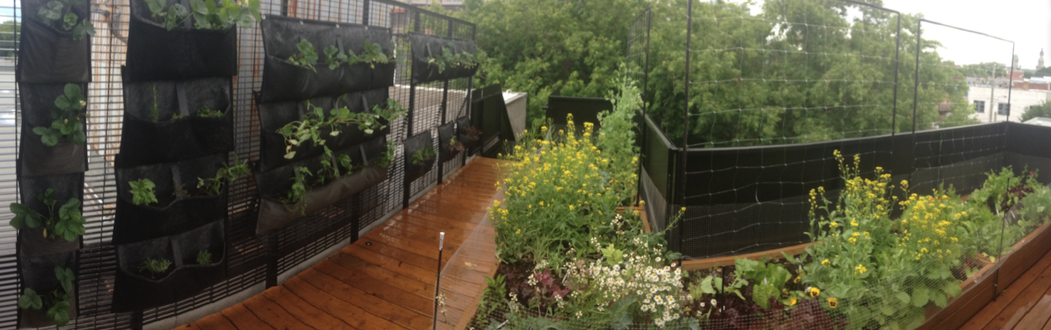 Balcony Gardening Solutions &ndash; Urban Seedling