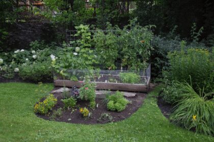 DIY Raised Vegetable Garden Bed Kit