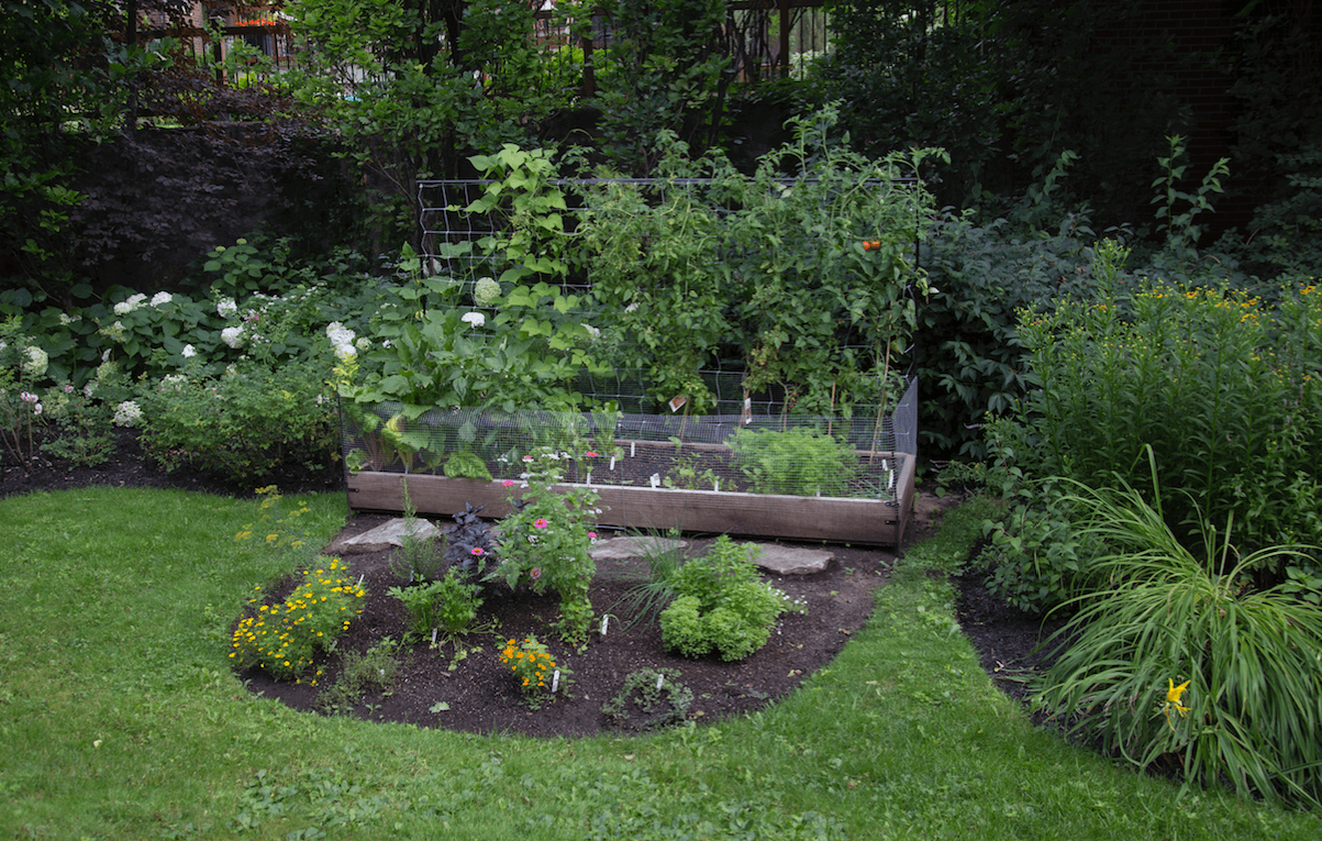 Diy Raised Vegetable Garden Bed Urban