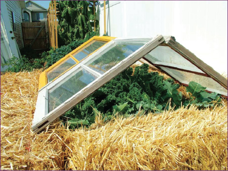 Wood Cold Frame Garden